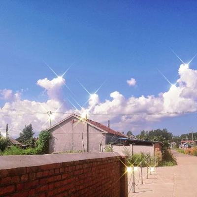 乐投国际app官方